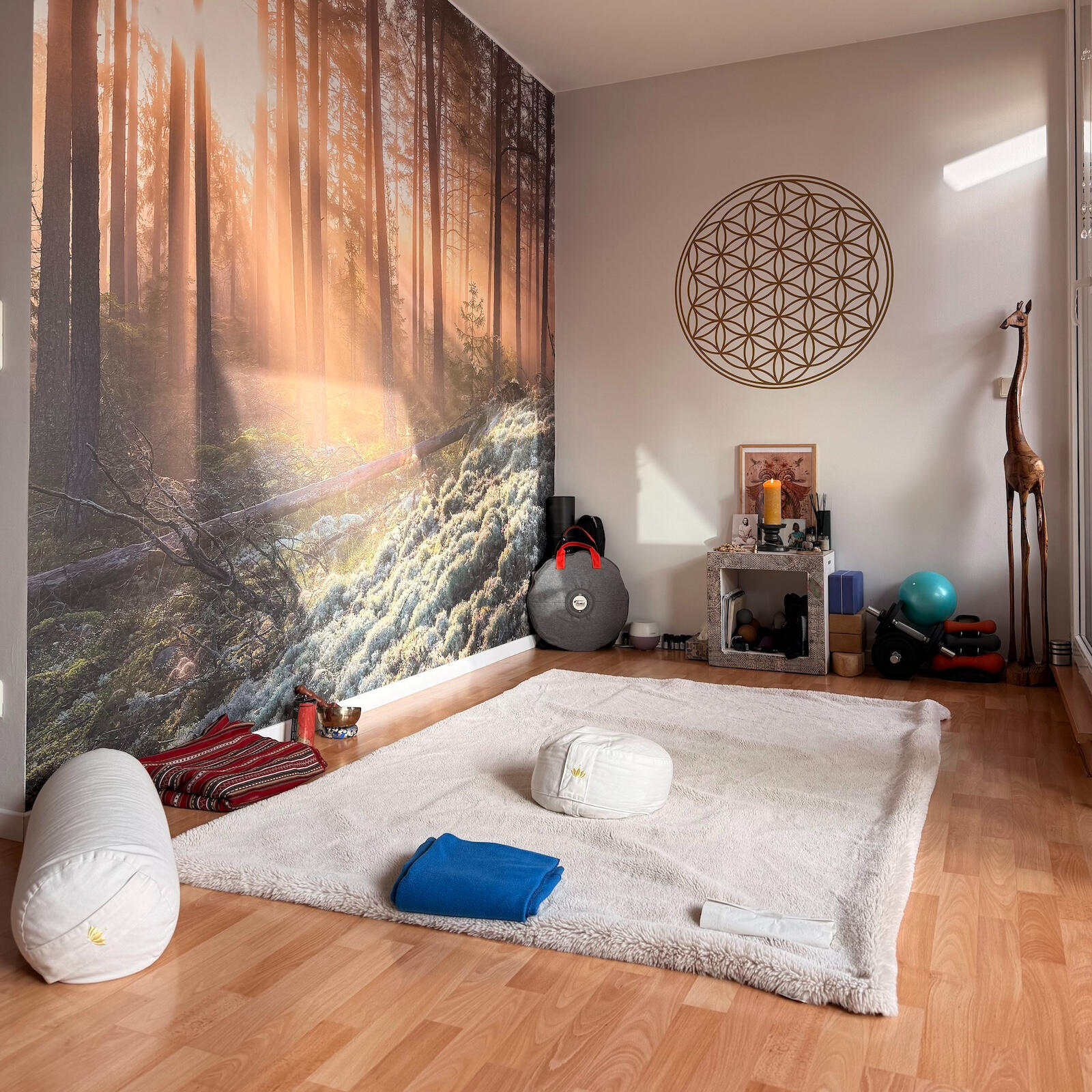 Reiki session space in Berlin near Nöldnerplatz with meditation mat and calming forest wall mural.